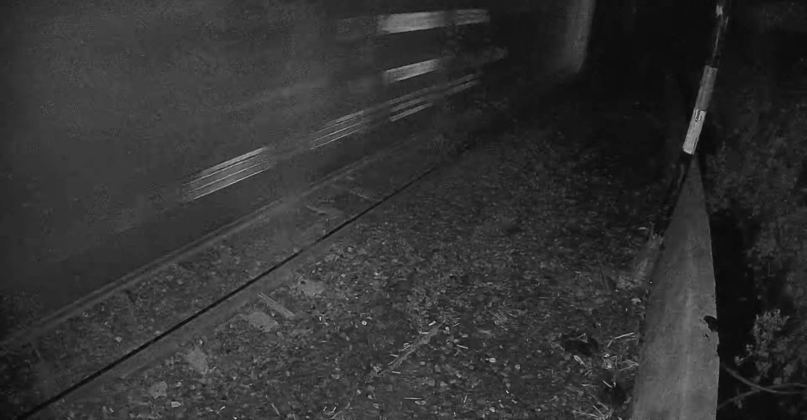2026-04-15 21:37:45.jpg